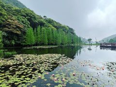 -广州市石门国家森林公园