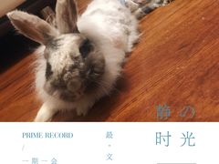 -雨林宠物医院 非犬猫异宠专科