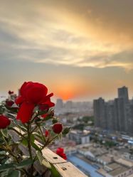 -Oasis Beauty水磨坊科技美肤中心