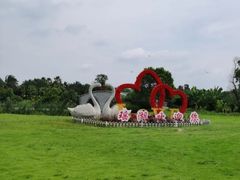 -瑶湖郊野森林公园