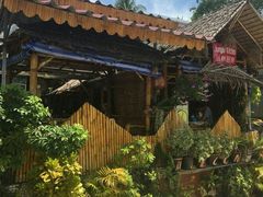 -Jungle Kitchen