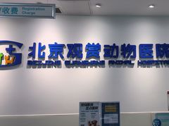 -北京观赏动物医院·24小时大型综合·猫专科·异宠专科