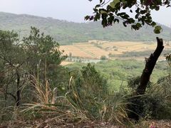 -风云岭森林公园