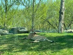 -北京野生动物园
