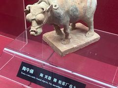 -亳州博物馆