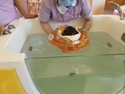 -喜宝母婴月子会所