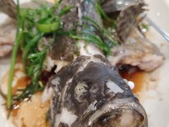 -龙溪海鲜酒家(溪涌店)