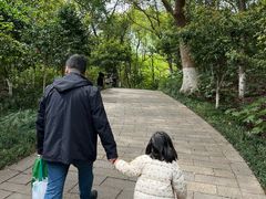 -杭州半山国家森林公园