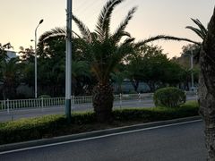 -仙岳公园