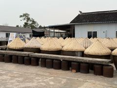 -苏州市吴中区光福窑上花果蜜饯厂