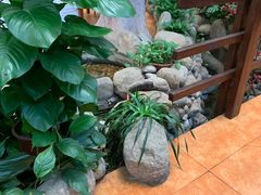 -雅和生态渔庄·宜城锅巴饭(龙灵山公园店)