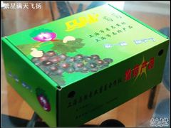 -马陆小张葡萄园农家乐