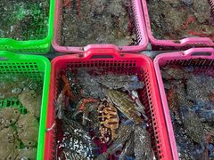 -众味海鲜大排档·活海鲜·潮汕味(南澳店)