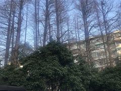 -墅园