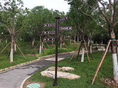 -西海子公园