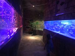 -zoonana室内动物园(东方福来德店)