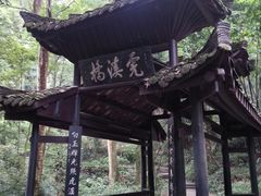 -峨眉山报国寺