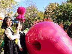 -七彩云南古滇温泉山庄