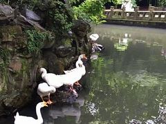 -兰亭风景区