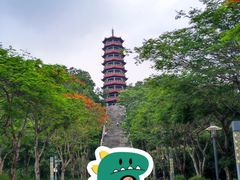 -红花山公园