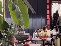 -单家老院·院子里的青岛菜(沙子口店)