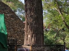 -北京上方山国家森林公园