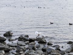 -深圳湾公园(南山区)