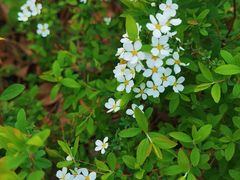 -苏州河梦清园环保主题公园