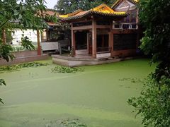-东江渔村·古典园林·30年粤菜老字号(太和店)