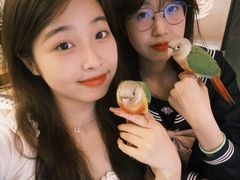 -吾叁·吉趣鸟咖(万科店)