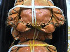 -黄记大闸蟹专卖店·活蟹·醉蟹