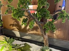 -楚禾宴·家宴(光谷大道店)