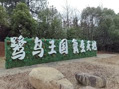 -象山森林公园