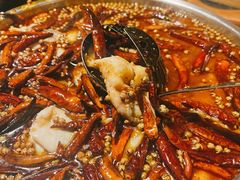 麻辣鱼-大川先生·小龙虾·川菜(信义坊店)