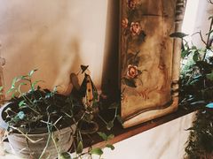 -斯多格书乡(北京大学畅春园店)