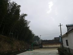 -老虎土菜馆·农家土菜
