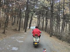 -棋盘山风景区