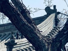 -雍和宫