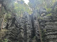 -梭布垭石林景区