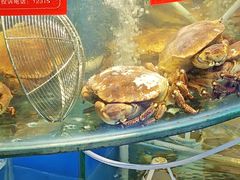 -四海蒸鲜蒸汽海鲜自助(北戴河店)