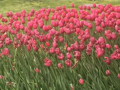 -长春公园(普阳街道)