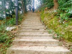 -灵顺寺