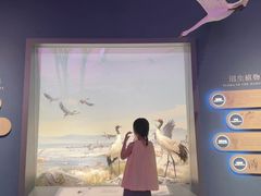 -中国湿地博物馆