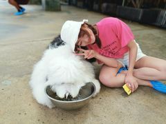 -TrueLove @ Neverland (Husky Cafe)