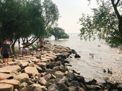 -宝安西湾红树林湿地公园