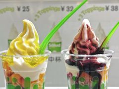 -Salud撒露欧洲冻酸奶(北苑上品店)