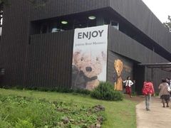 -济州岛泰迪熊博物馆