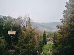 -香山公园
