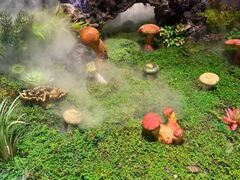 -外滩·云南人家(昆明旗舰店)