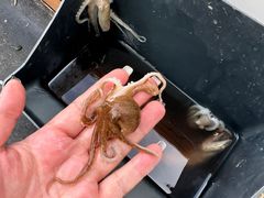 -山东大学(威海校区)